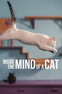 watch-Inside the Mind of a Cat