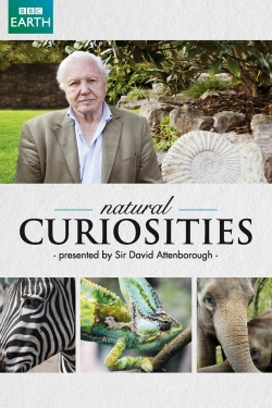 watch-David Attenborough's Natural Curiosities