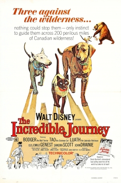 watch-The Incredible Journey