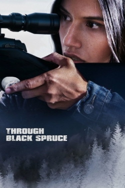 watch-Through Black Spruce