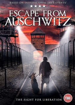 watch-The Escape from Auschwitz