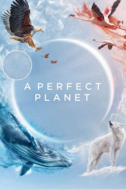watch-A Perfect Planet
