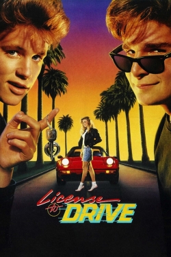 watch-License to Drive