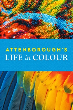watch-Attenborough's Life in Colour