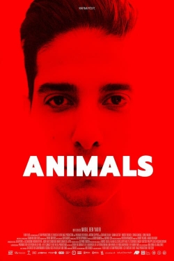 watch-Animals