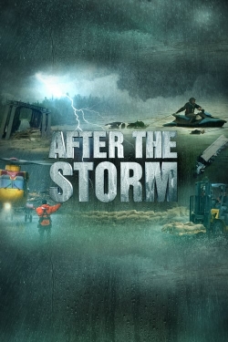 watch-After the Storm