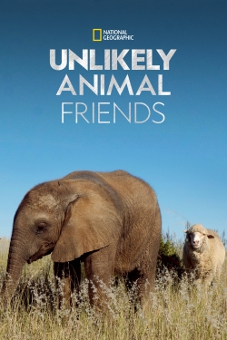 watch-Unlikely Animal Friends