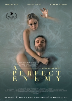 watch-A Perfect Enemy