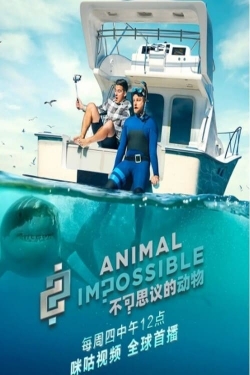 watch-Animal Impossible