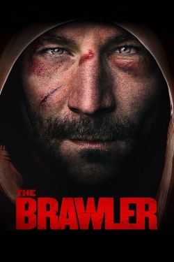 watch-The Brawler