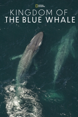 watch-Kingdom of the Blue Whale