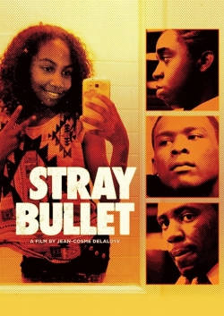watch-Stray Bullet