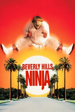 watch-Beverly Hills Ninja