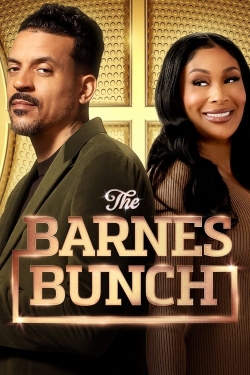 watch-The Barnes Bunch