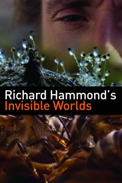 watch-Richard Hammond's Invisible Worlds