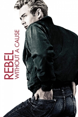 watch-Rebel Without a Cause