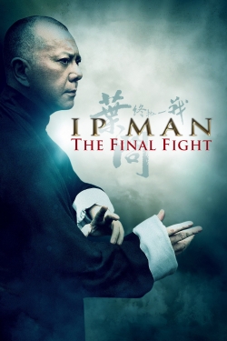 watch-Ip Man: The Final Fight