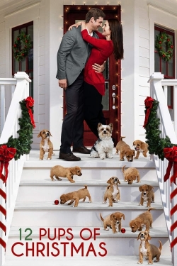watch-12 Pups of Christmas
