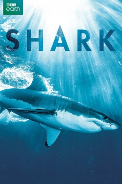 watch-Shark