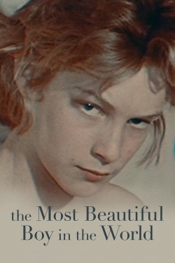 watch-The Most Beautiful Boy in the World