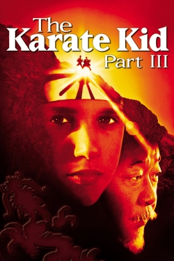 watch-The Karate Kid Part III