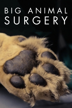watch-Big Animal Surgery
