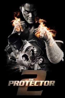 watch-The Protector 2