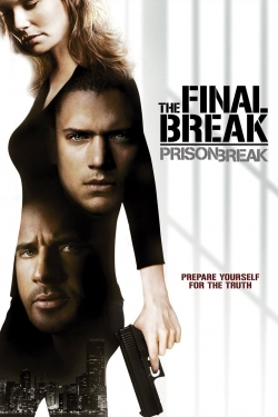watch-Prison Break: The Final Break