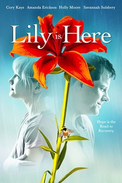 watch all about lily chou chou