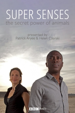 watch-Super Senses: The Secret Power of Animals