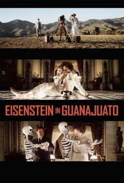 watch-Eisenstein in Guanajuato