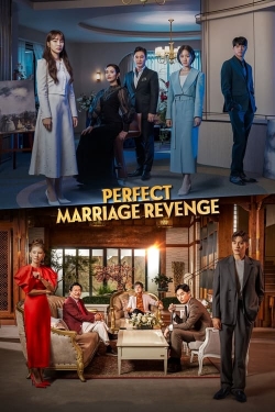 watch-Perfect Marriage Revenge