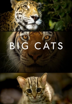 watch-Big Cats