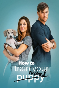 watch-How to Train Your Husband