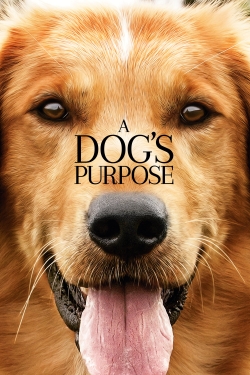 watch-A Dog's Purpose