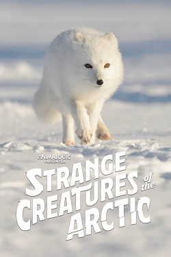watch-Strange Creatures of the Arctic