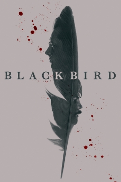 watch-Black Bird