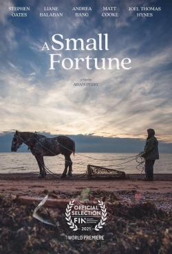 watch-A Small Fortune