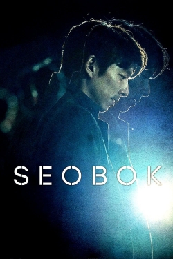 watch-Seobok