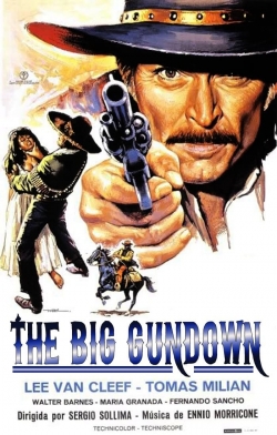 watch-The Big Gundown