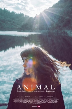 watch-Animal
